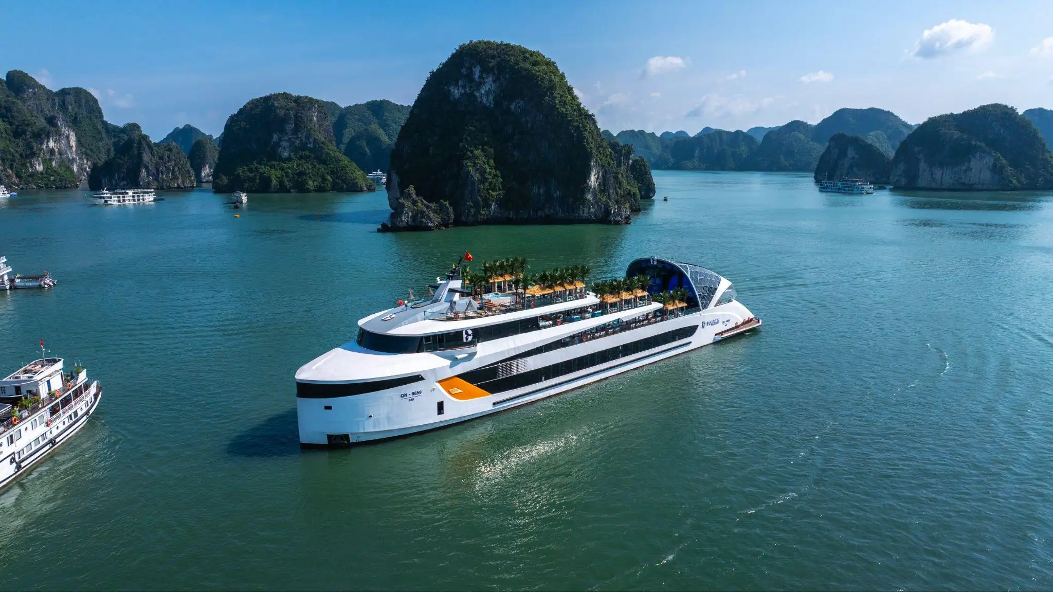 Dolphin Cruise giữa Vịnh Hạ Long